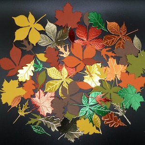 Fall Leaves Die Cuts, Maple Leaf Confetti, Metallic & Regular