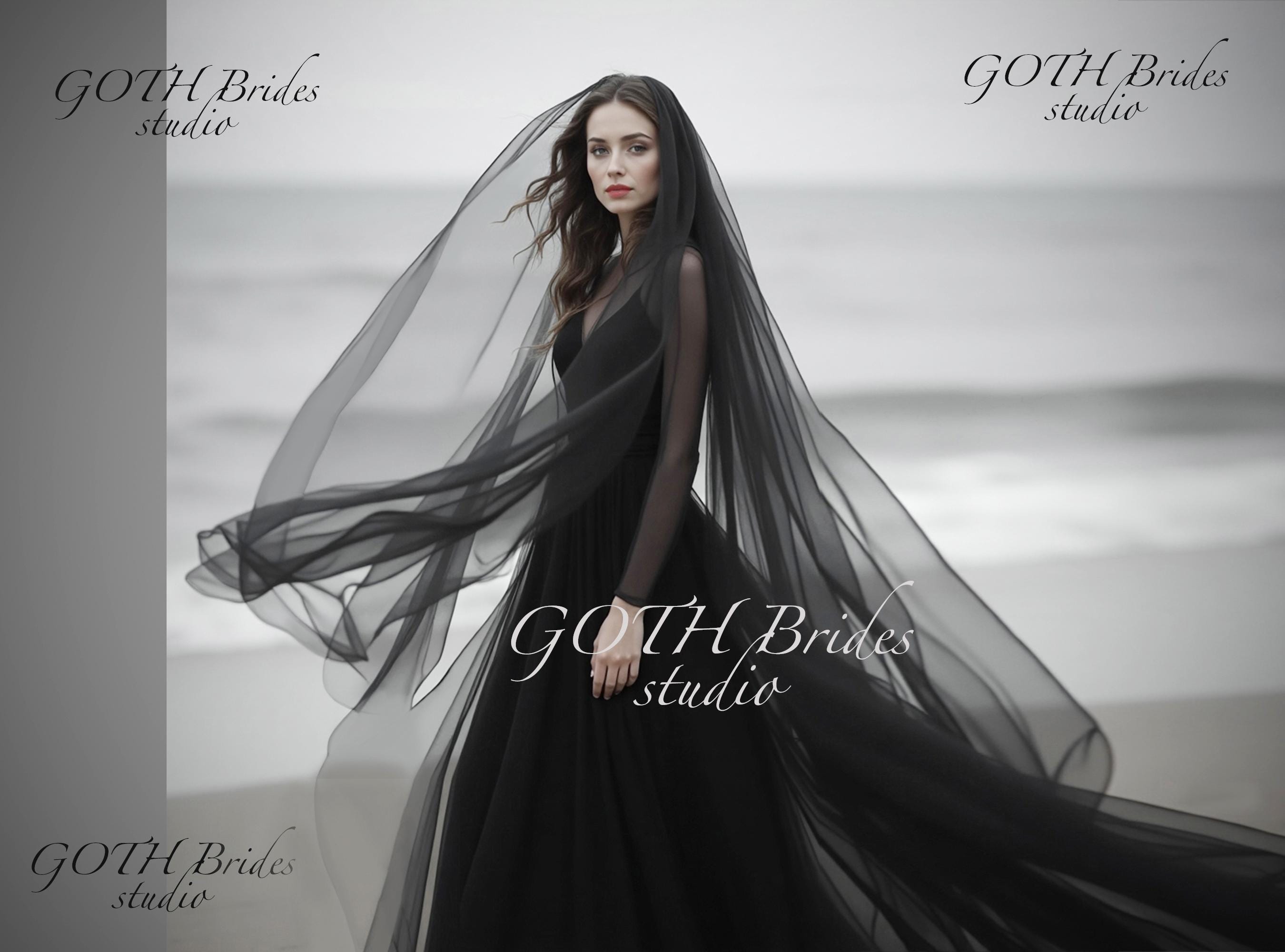 Sheer Black Beaded Tulle Veil with Comb-Romantic Gothic Bridal Hair Black Gothic Cathedral Length Tulle Wedding Veil With 3D  main image 4