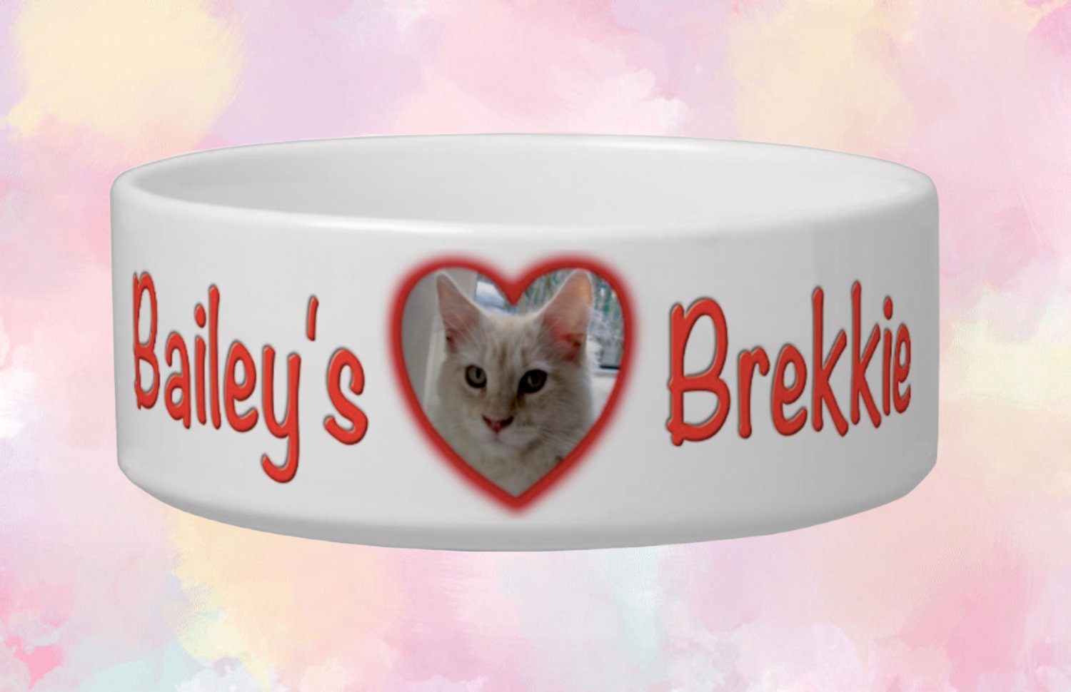 Best cat bowls