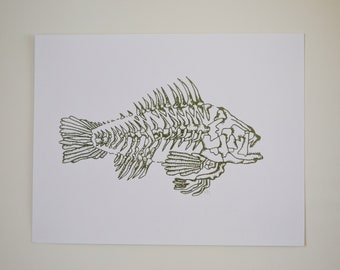 May include: A line drawing of a fish skeleton in green ink on a white background.