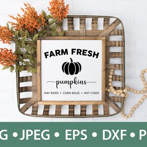 Farm Fresh Kürbisse Schild SVG/PNG/JPEG, Herbst Dekor, Wanddekoration, Kürbis Schild, Herbst Schild Digital Bundle Download