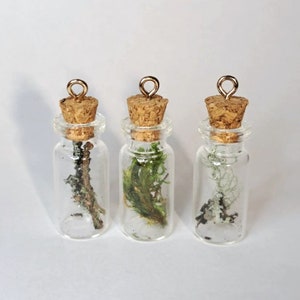 Lichen and Moss Bottle Charms. Jewelry Keychains Ornaments Pendants