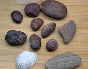 8 Small Reddish Beach Stones from Puget Sound. Fairy Garden Decor Terrarium Reptile Habitat Craft Rock Tumbling Rock Collection Aquarium