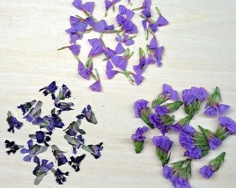 Small Dried Purple Flowers. Resin Pours Jewelry Soap Candles Decoupage Bookmarks Cards Botanical Art