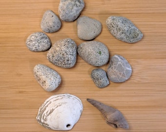 10 Small Gray Beach Stones from Puget Sound. Fairy Garden Decor Terrarium Reptile Habitat Craft Rock Tumbling Rock Collection Aquarium