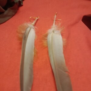 Boucles d'oreilles plumes pigeon et coq image 6