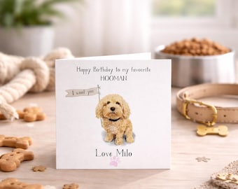 Peut inclure: Une carte de vœux carrée blanche avec une illustration à l'aquarelle d'un chien brun clair aux poils bouclés tenant un petit drapeau avec l'inscription I wool you. Le texte indique Happy Birthday to my favourite HOOMAN et Love Milo.
