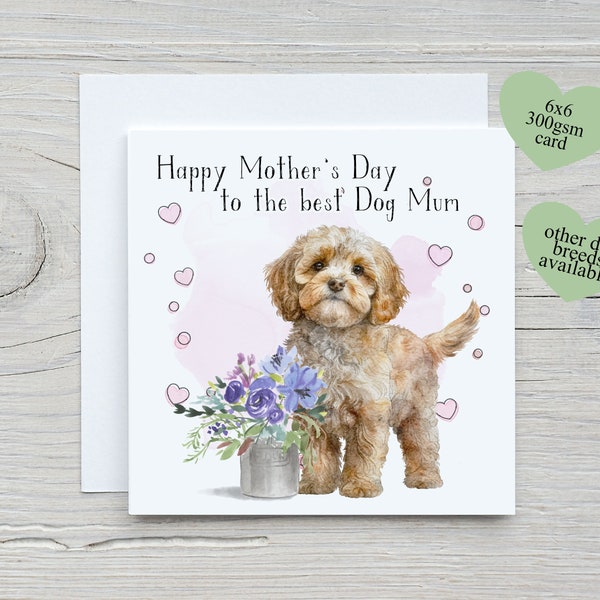 Mothers Day Card from the dog, Cavapoo Mum, 1st Mothers Day as a dog mum