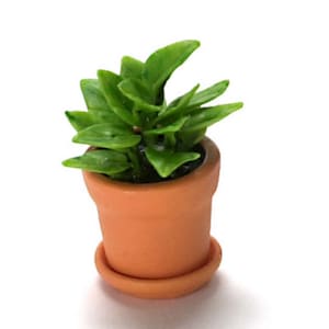 Dollhouse Miniature Plant Dollhouse Plant Miniature House Plant Dollhouse Garden Miniature Garden Succulent 1:12 Dollhouse Miniature