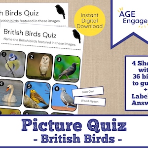 Britse vogels fotoquiz - afdrukbaar seniorenspel - dementie-activiteit digitale download - alzheimer - spel thuiszorg