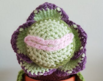 PATTERN ONLY - Baby Audrey II Plant Crochet Pattern - Little Shop of Horrors