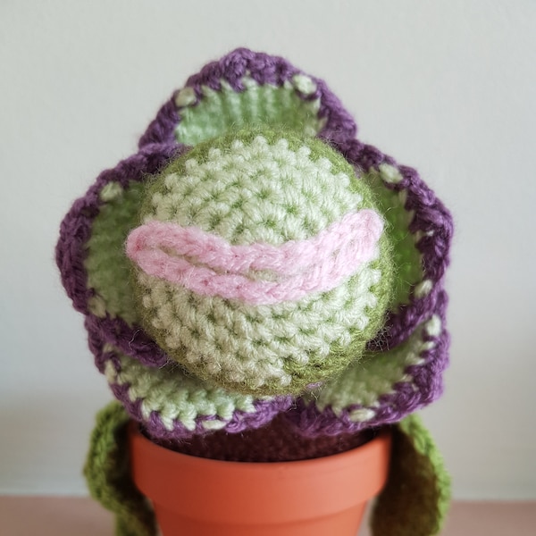 PATTERN ONLY - Baby Audrey II Plant Crochet Pattern - Little Shop of Horrors