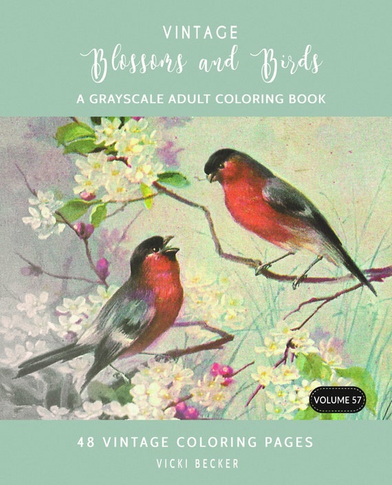 Download Vintage Blossoms And Birds An Adult Grayscale Pdf Coloring Etsy