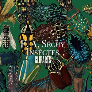 Könnte beinhalten: Eine Sammlung von bunten Insektenillustrationen, darunter Käfer, Schmetterlinge und Motten. Die Illustrationen sind vor einem grünen Hintergrund angeordnet und weisen komplizierte Details und Muster auf. Der Text "E.A. Seguy Insectes Cliparts" wird in der Mitte des Bildes angezeigt.