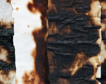 Más de 60 texturas de papel quemado, papel ardiendo, papel de fondo imprimible, hojas de papel para diarios creativos, collage de álbumes de recortes, pergamino antiguo