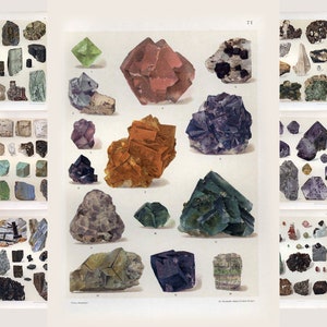 140+ HQ vintage mineralenillustraties, Das Mineralreich, kristal antiek + digitaal verbeterde groen blauw roze edelstenen digitale download