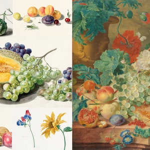 Michiel van Huysum Painitngs HQ Printable Summer Fruits Flowers Grape Hazelnut Cherry gourd Walnut Farm Wall Art Decor Digital download