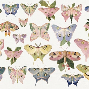 May include: A collection of 24 watercolor illustrations of butterflies in various colors and patterns, including pink, blue, green, and yellow. The butterflies are depicted with intricate details and realistic textures.