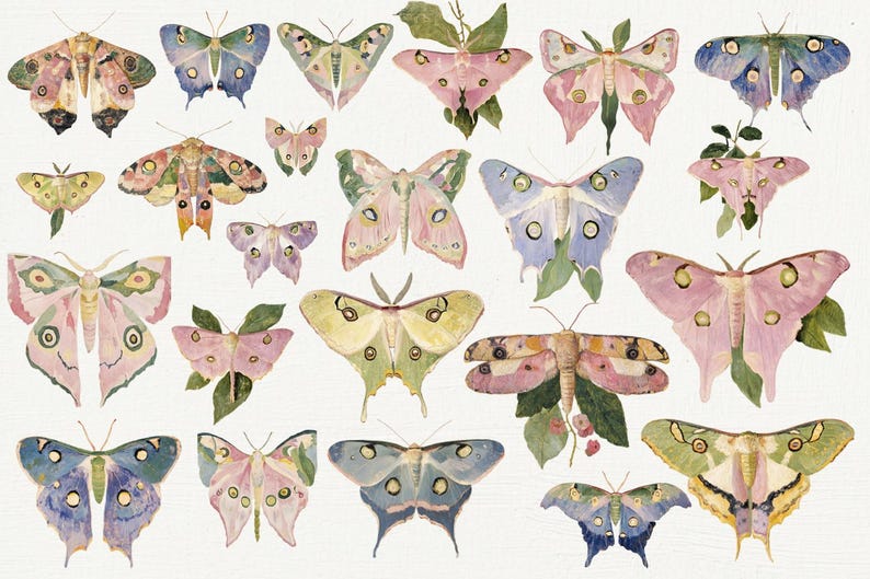 May include: A collection of 24 watercolor illustrations of butterflies in various colors and patterns, including pink, blue, green, and yellow. The butterflies are depicted with intricate details and realistic textures.