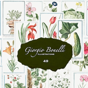 May include: A collection of 49 vintage botanical illustrations featuring various flowers, plants, and vegetables. The illustrations are in a watercolor style and are arranged in a grid pattern. The illustrations are labeled with their scientific names.