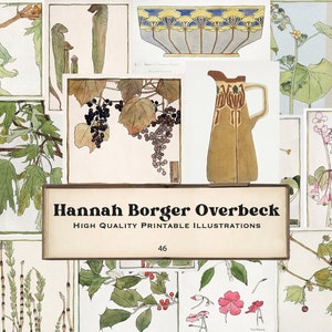 Op de afbeelding: Een verzameling vintage botanische illustraties met verschillende planten en bloemen, waaronder druiven, hulst en een kan. De illustraties zijn in aquarelstijl en gedrukt op een witte achtergrond. De tekst "Hannah Borger Overbeck High Quality Printable Illustrations 46" is gedrukt op een bruin banner.