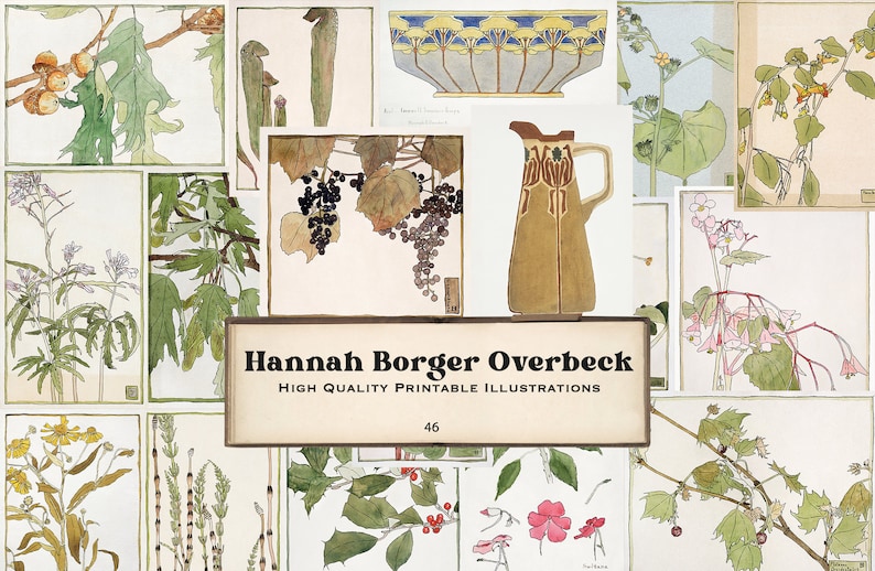 Op de afbeelding: Een verzameling vintage botanische illustraties met verschillende planten en bloemen, waaronder druiven, hulst en een kan. De illustraties zijn in aquarelstijl en gedrukt op een witte achtergrond. De tekst "Hannah Borger Overbeck High Quality Printable Illustrations 46" is gedrukt op een bruin banner.