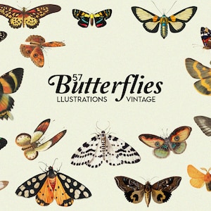May include: A collection of 57 vintage illustrations of butterflies in various colors and patterns. The butterflies are arranged in a circular pattern on a cream background. The text "57 Butterflies Illustrations Vintage" is displayed in the center of the image.
