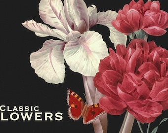 70 Classic Flowers PNG HQ Clipart Vintage Illustrations Graphic Poster Botanical Floral Art Vaux Walcott Bouquet Printable Digital Download