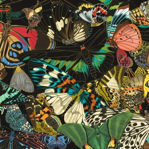 70+ E.A. Séguy HQ Clipart PNG Butterflies Art Deco Insect Illustration Art Nouveau Design Collage Art Elements Digital Download