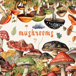 Ilustraciones de Setas 50 Clipart Muy HQ Imprimible, Elementos de Arte Collage, Canva, Diseño Gráfico, Litografías Botánicas Cromolitografía