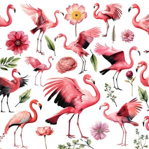 15 roze flamingo's Cliparts, HQ, afdrukbaar, aquarel, zwart, vogels clipart, transparante achtergrond, collage kunst, scrapbooking, commercieel gebruik