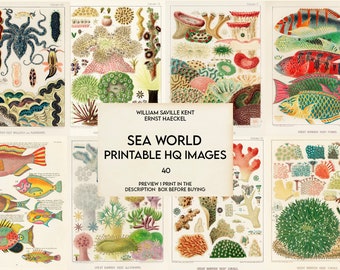 May include: A collection of 40 printable high-quality images of sea life, including colorful fish, coral, and other marine creatures. The images are from the book "Sea World" by William Saville Kent and Ernst Haeckel.