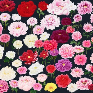80+ fiori di peonia HQ Clipart vintage Fioriture eleganti Fascino senza tempo Fiore di ciliegio Peonie botaniche Collage Elementi Download digitale