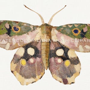 May include: A watercolor painting of a luna moth with brown, green, pink, and yellow markings. The moth has large, feathery antennae and is depicted with its wings spread open.