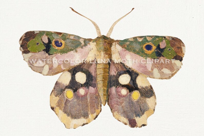May include: A watercolor painting of a luna moth with brown, green, pink, and yellow markings. The moth has large, feathery antennae and is depicted with its wings spread open.