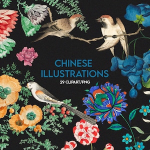 Chinesische Illustrationen 29 Clipart/PNG/JPG, Blumen, Vögel Vintage, hohe Auflösung, Botanisch, Floral, bedruckbar, kommerzielle Nutzung