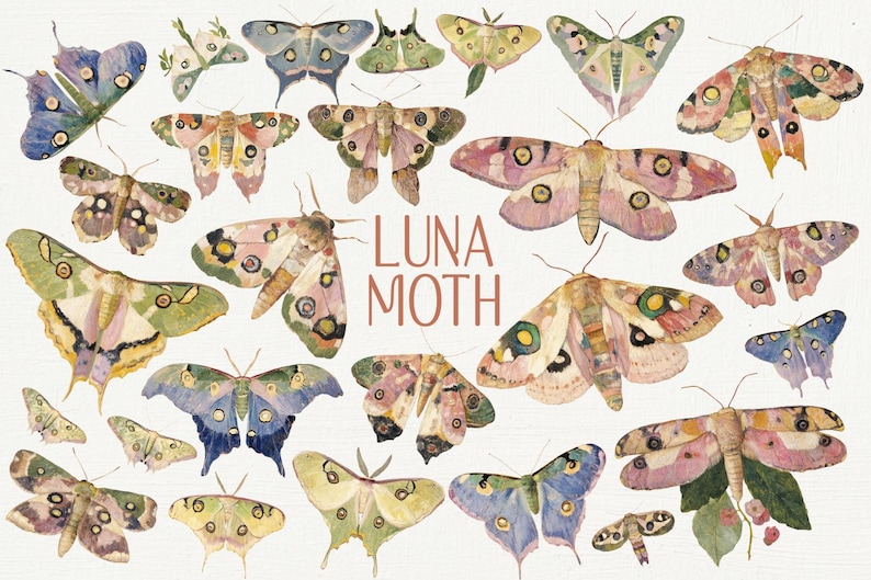 May include: A collection of watercolor illustrations of Luna moths. The moths are depicted in various poses and colors, with intricate details on their wings. The text "LUNA MOTH" is written in the center of the image.