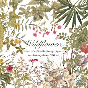 May include: A botanical illustration featuring a variety of green foliage and colorful flowers in shades of red, pink, yellow, and white. The text "Wildflowers" and "Webster's distribution of English medicinal plants Clipart" is centered in the image.