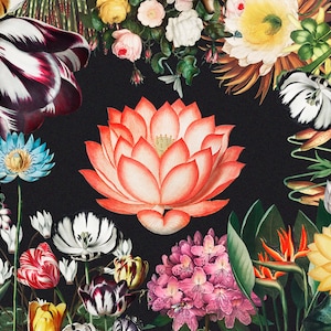 30+ Robert John Thornton HQ cliparts Pontische bloemen sticker vintage rozen tulp botanische bloemen waterlelie collage kunst digitale download