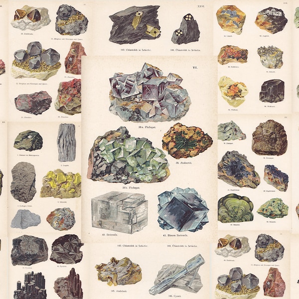 24 Il Regno Minerale Das Mineralreich Stampabile Cristalli antichi Illustrazioni d'arte Geologia Poster litografia Download digitale