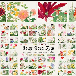 May include: A collection of 64 vintage botanical illustrations featuring various flowers and plants. The illustrations are in a traditional Japanese style, with delicate lines and vibrant colors. The title "Seiyo Soka Zufu" is printed at the bottom of the image.
