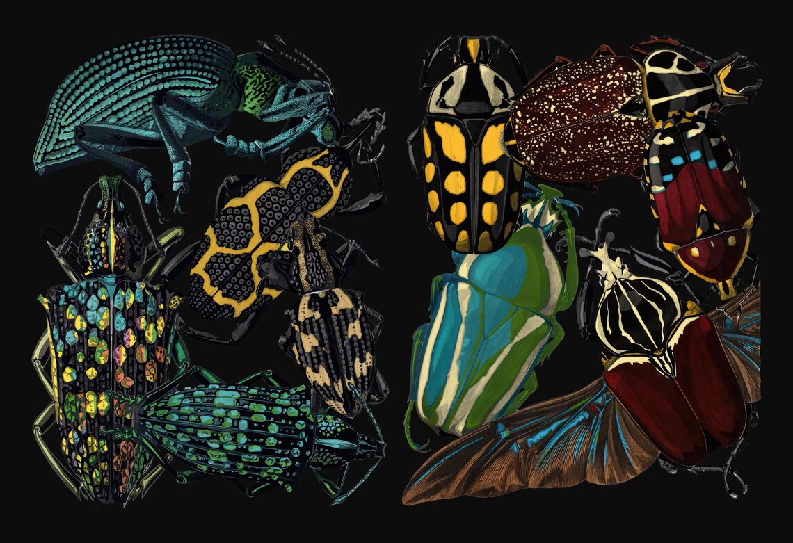 E. A. Seguy Insectes Cliparts, PNG, Printable, Butterflies Insect ...