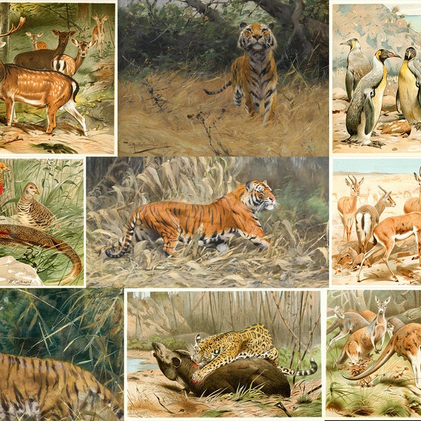 50+ Wilhelm Kuhnert Rare Paintings Vintage Fox Lions Gazelle Deer African Jungle Exotic Animals Tiger Lioness Zebra Digital Download