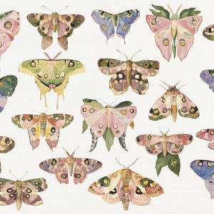 May include: A collection of 17 watercolor illustrations of butterflies in various colors and patterns, including pink, blue, green, and yellow.