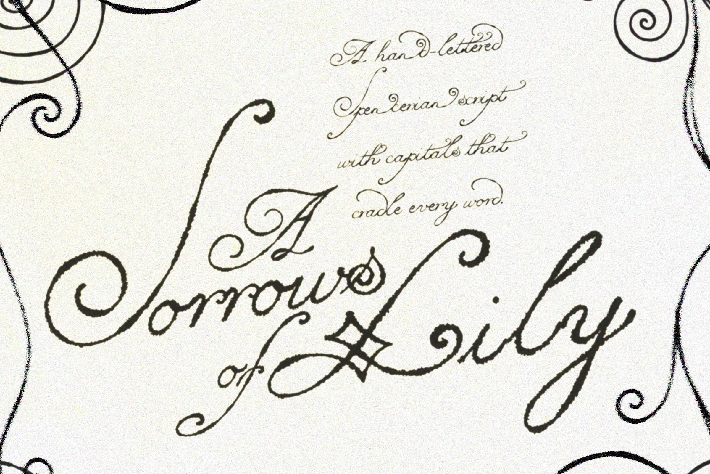 Lily of Sorrows Font, Spencerian Calligraphy Script, Gothic Wedding ...