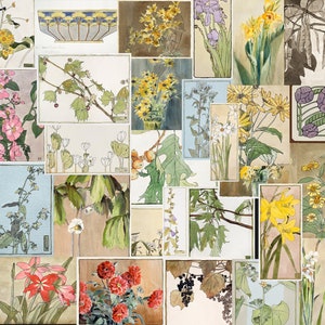 Op de afbeelding: Een collage van vintage botanische illustraties met verschillende bloemen, planten en bladeren. De illustraties zijn in aquarelstijl en zijn gerangschikt in een rasterpatroon. De kleuren zijn gedempt en aards, met tinten groen, bruin, geel en roze.