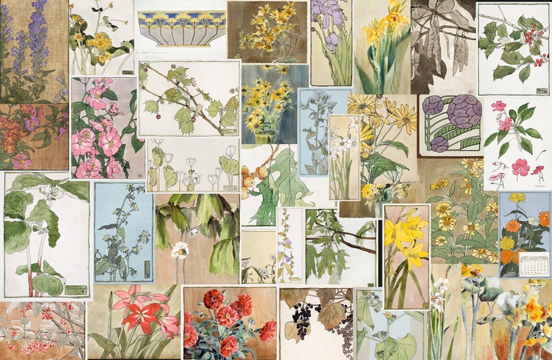 Op de afbeelding: Een collage van vintage botanische illustraties met verschillende bloemen, planten en bladeren. De illustraties zijn in aquarelstijl en zijn gerangschikt in een rasterpatroon. De kleuren zijn gedempt en aards, met tinten groen, bruin, geel en roze.