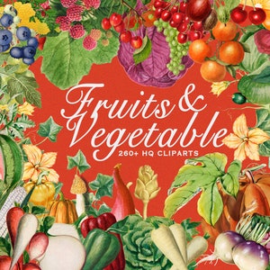 Más de 260 frutas y verduras Cliparts HQ PNGs Collage Art Bundle Elementos Vintage Kitchen Restaurants Posters Veggie Garden Descarga digital