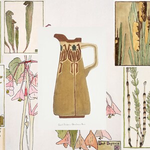 Op de afbeelding: Een collage van vintage botanische illustraties met verschillende planten en bloemen, waaronder een kan met een bloemenmotief, een begonia, een lisdodde en een paardenstaart.
