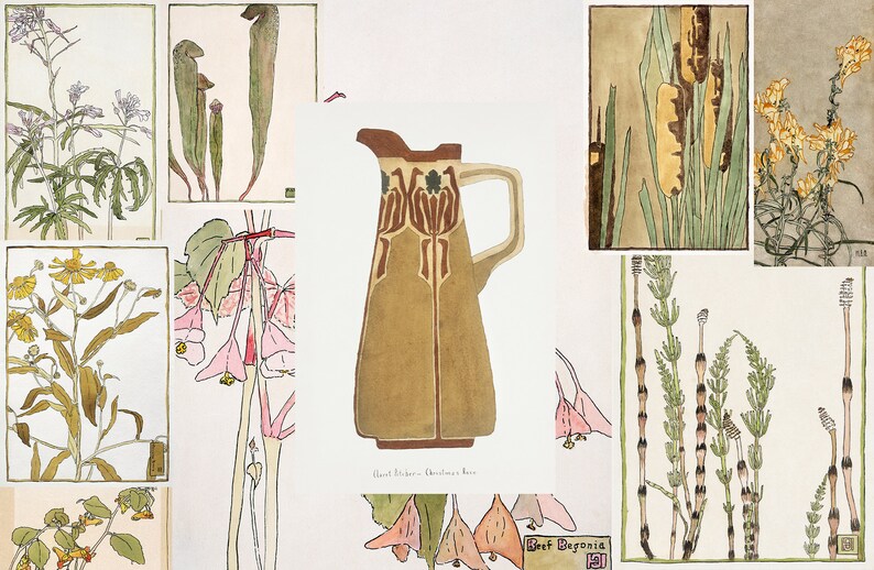 Op de afbeelding: Een collage van vintage botanische illustraties met verschillende planten en bloemen, waaronder een kan met een bloemenmotief, een begonia, een lisdodde en een paardenstaart.